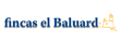 FINCAS EL BALUARD 