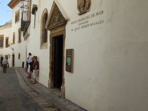 Cultura y ocio Museos - MUSEU MARICEL DEL MAR